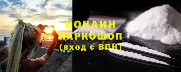 СК Алексин