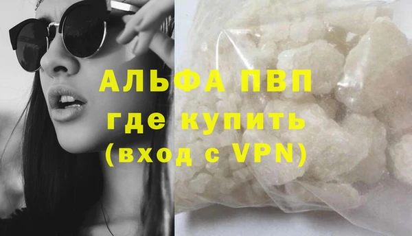 СК Алексин