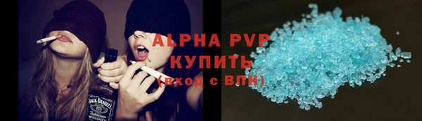 СК Алексин