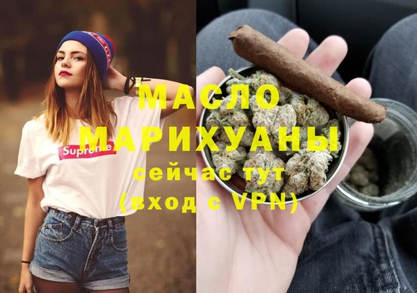 СК Алексин