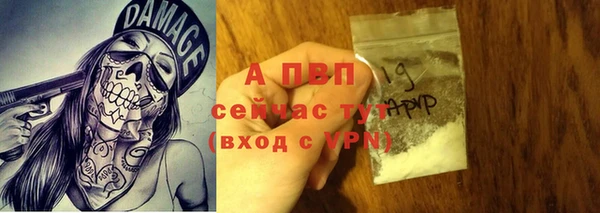 СК Алексин